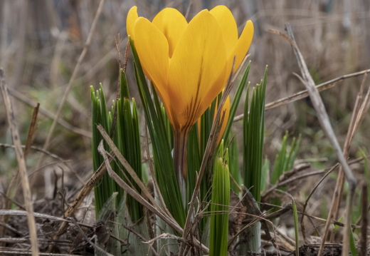P1180144