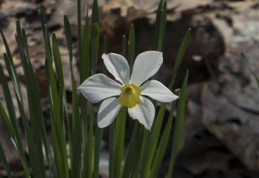 P1070051