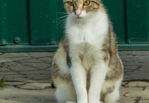 P1020105